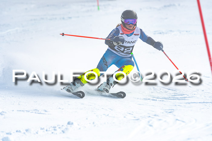 DSV Actanol Schülercup U16 SL