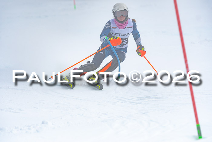 DSV Actanol Schülercup U16 SL