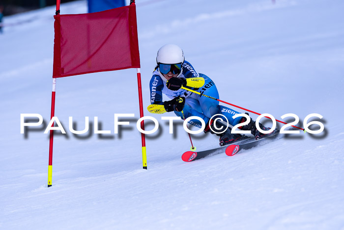 Kreiscup Weilheim/Schopngau 08.02.2026
