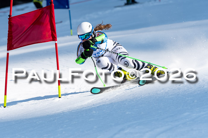 Kreiscup Weilheim/Schopngau 08.02.2026