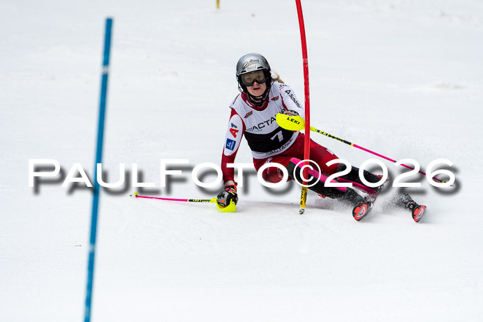 FIS Slalom + NJC Damen + FIS Herren 13.02.2026
