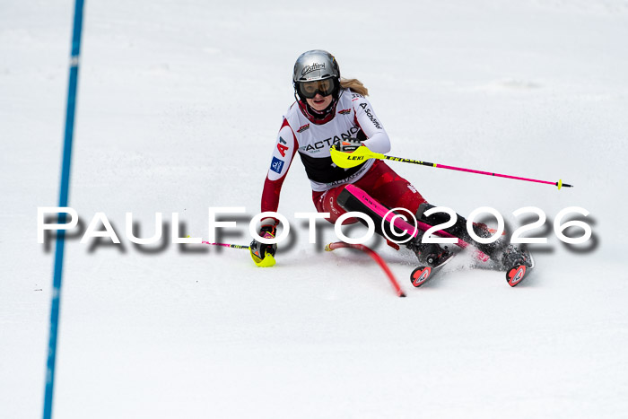 FIS Slalom + NJC Damen + FIS Herren 13.02.2026