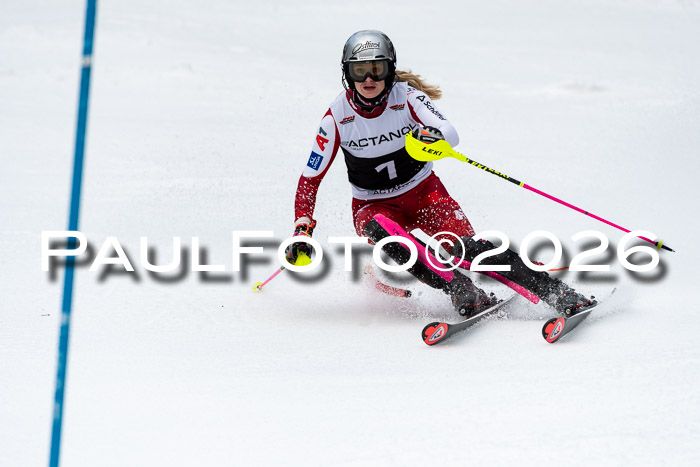FIS Slalom + NJC Damen + FIS Herren 13.02.2026