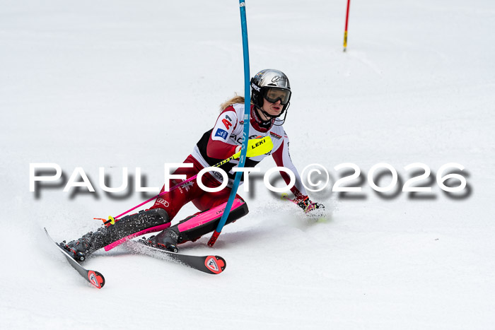 FIS Slalom + NJC Damen + FIS Herren 13.02.2026