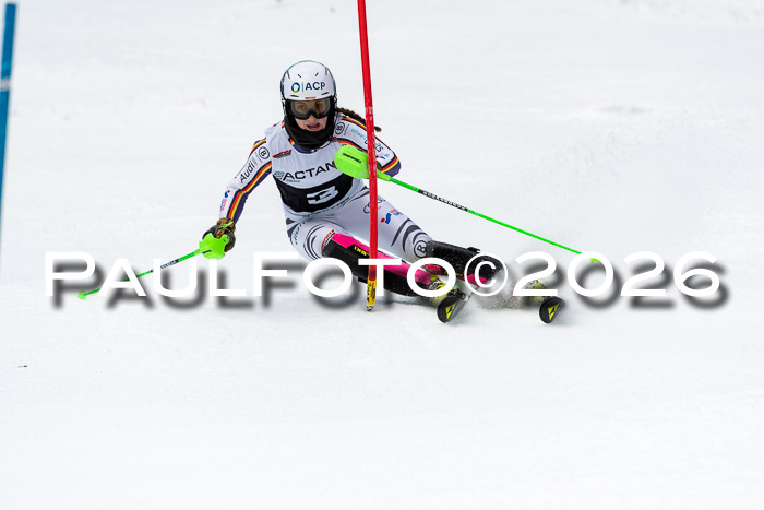 FIS Slalom + NJC Damen + FIS Herren 13.02.2026