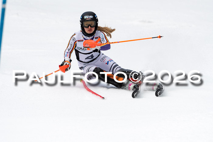 FIS Slalom + NJC Damen + FIS Herren 13.02.2026