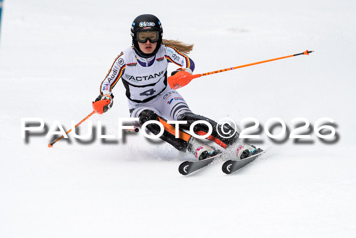 FIS Slalom + NJC Damen + FIS Herren 13.02.2026