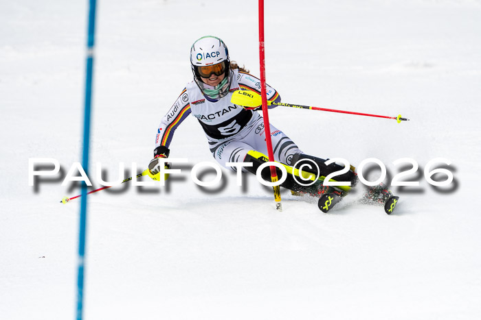 FIS Slalom + NJC Damen + FIS Herren 13.02.2026