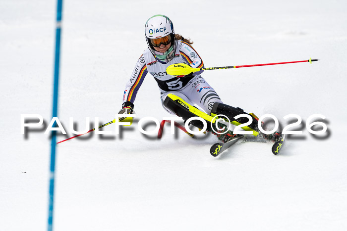 FIS Slalom + NJC Damen + FIS Herren 13.02.2026