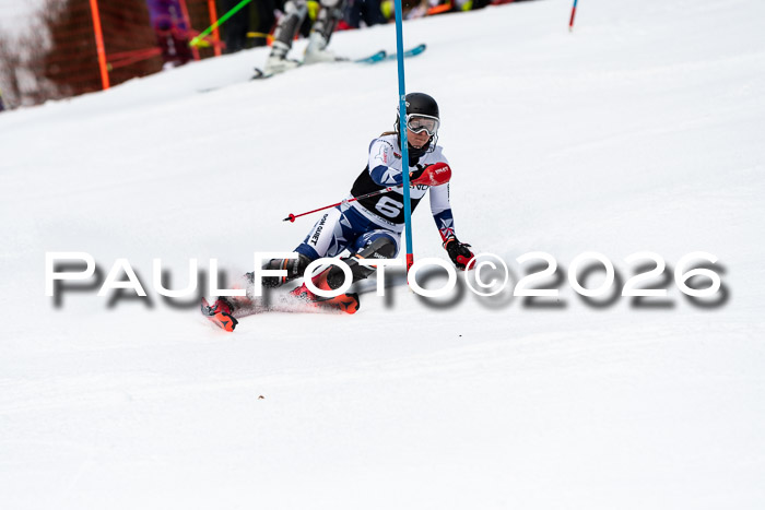 FIS Slalom + NJC Damen + FIS Herren 13.02.2026