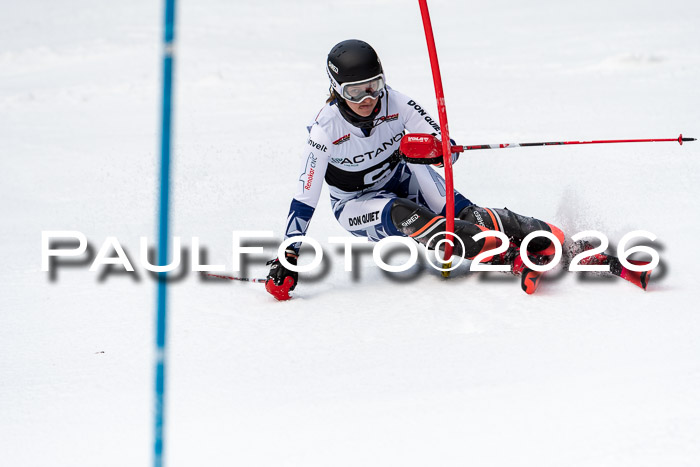 FIS Slalom + NJC Damen + FIS Herren 13.02.2026