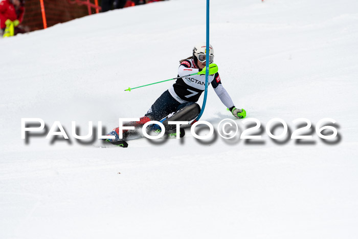 FIS Slalom + NJC Damen + FIS Herren 13.02.2026