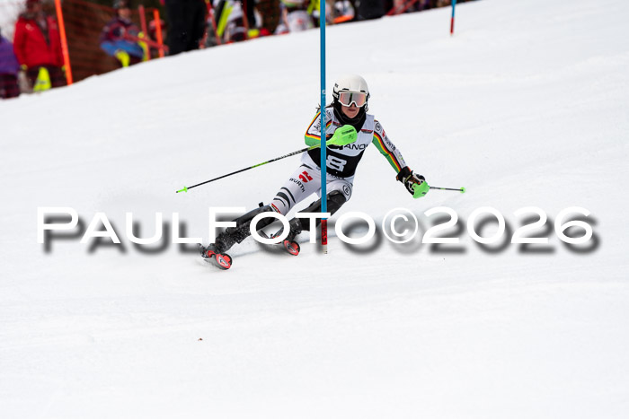 FIS Slalom + NJC Damen + FIS Herren 13.02.2026