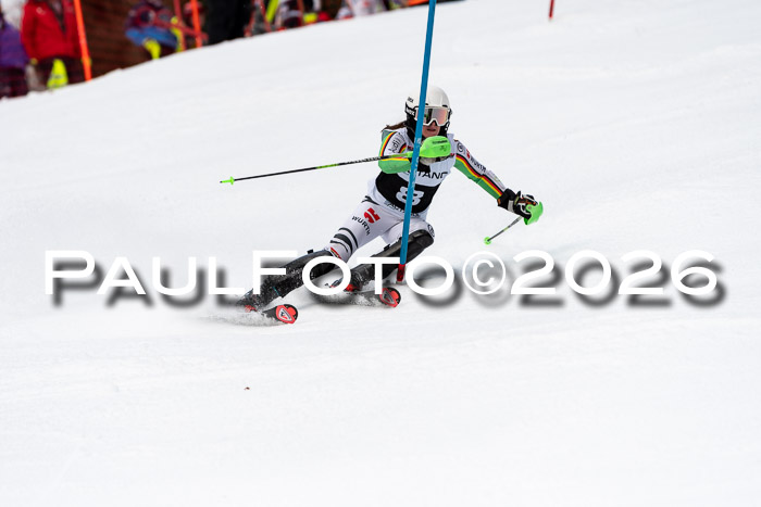 FIS Slalom + NJC Damen + FIS Herren 13.02.2026