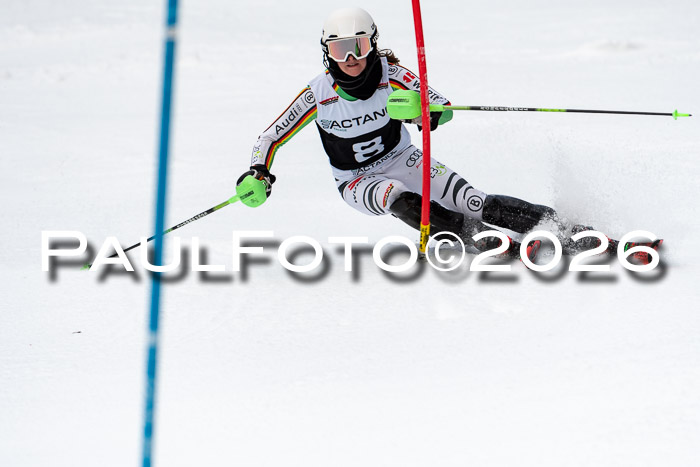 FIS Slalom + NJC Damen + FIS Herren 13.02.2026