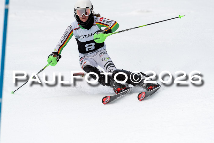 FIS Slalom + NJC Damen + FIS Herren 13.02.2026