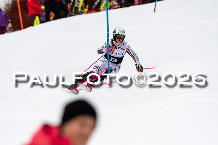 FIS Slalom + NJC Damen + FIS Herren 13.02.2026