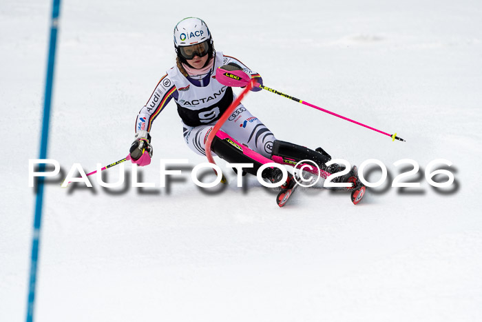 FIS Slalom + NJC Damen + FIS Herren 13.02.2026