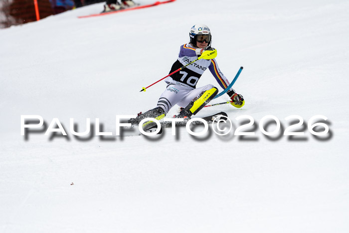 FIS Slalom + NJC Damen + FIS Herren 13.02.2026