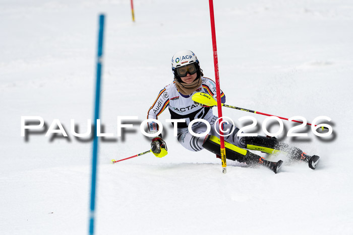 FIS Slalom + NJC Damen + FIS Herren 13.02.2026