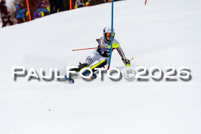 FIS Slalom + NJC Damen + FIS Herren 13.02.2026