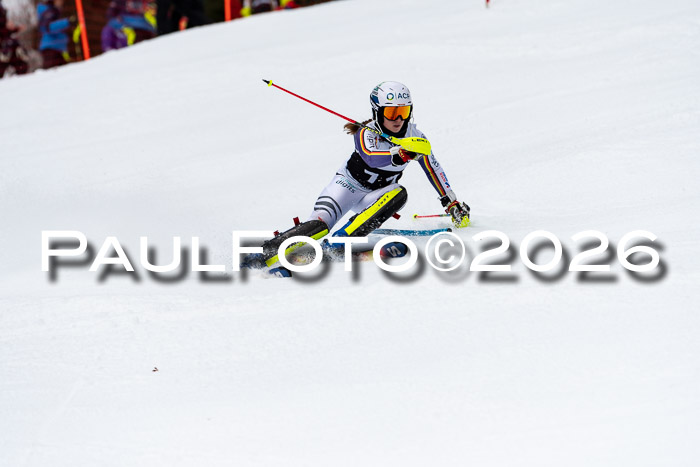 FIS Slalom + NJC Damen + FIS Herren 13.02.2026