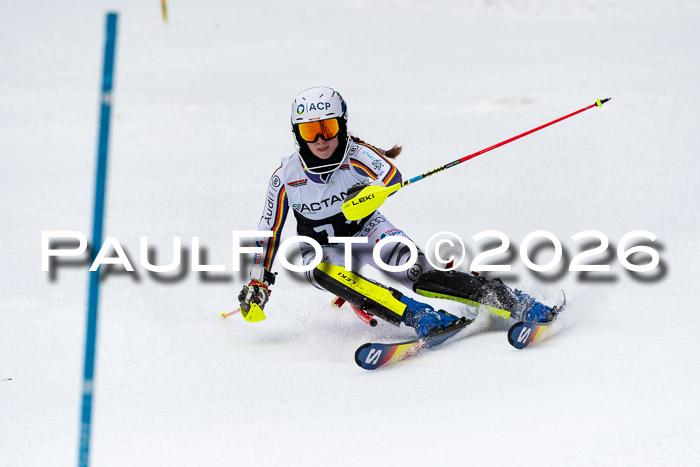 FIS Slalom + NJC Damen + FIS Herren 13.02.2026