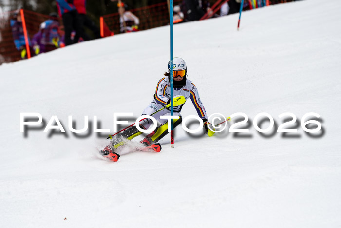 FIS Slalom + NJC Damen + FIS Herren 13.02.2026