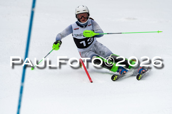FIS Slalom + NJC Damen + FIS Herren 13.02.2026