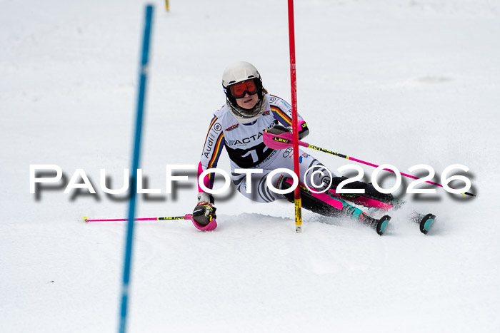FIS Slalom + NJC Damen + FIS Herren 13.02.2026