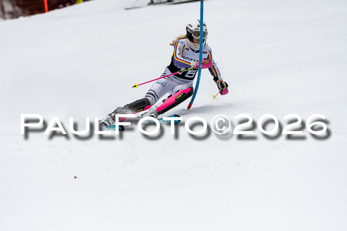 FIS Slalom + NJC Damen + FIS Herren 13.02.2026