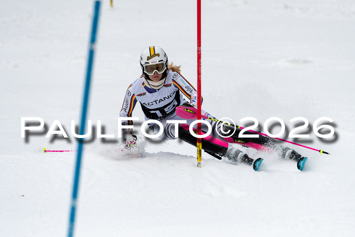 FIS Slalom + NJC Damen + FIS Herren 13.02.2026