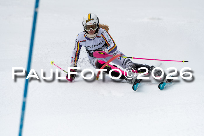 FIS Slalom + NJC Damen + FIS Herren 13.02.2026