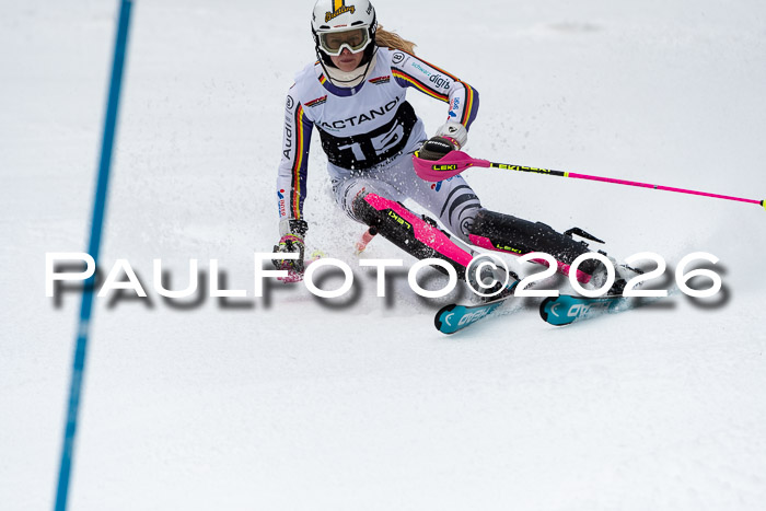 FIS Slalom + NJC Damen + FIS Herren 13.02.2026