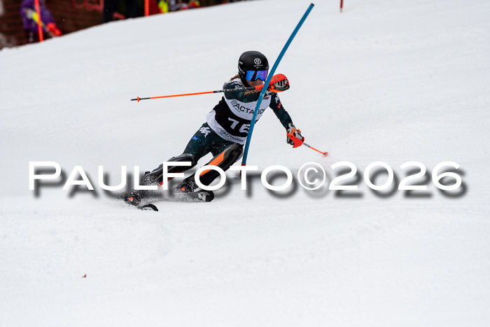 FIS Slalom + NJC Damen + FIS Herren 13.02.2026