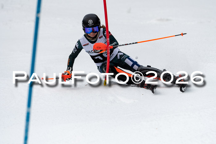 FIS Slalom + NJC Damen + FIS Herren 13.02.2026