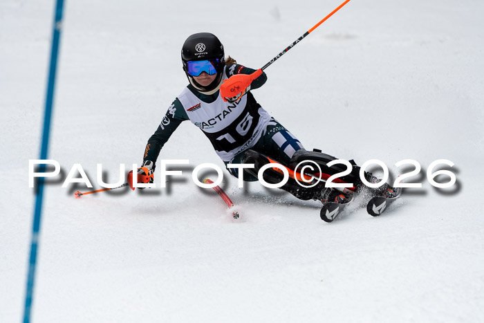 FIS Slalom + NJC Damen + FIS Herren 13.02.2026