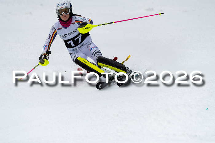 FIS Slalom + NJC Damen + FIS Herren 13.02.2026