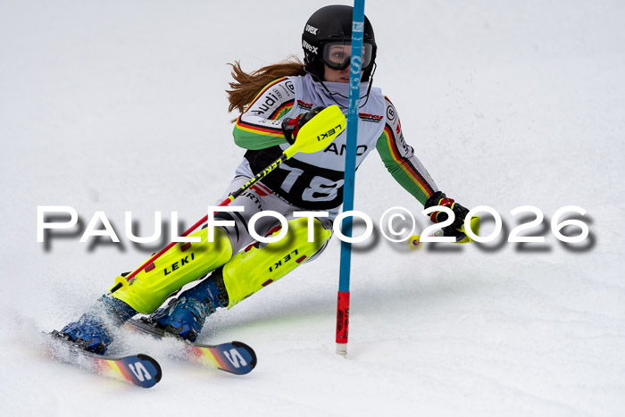 FIS Slalom + NJC Damen + FIS Herren 13.02.2026