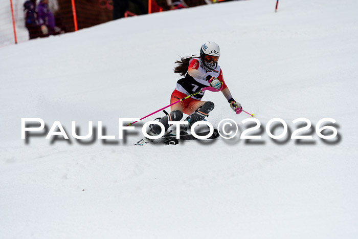 FIS Slalom + NJC Damen + FIS Herren 13.02.2026