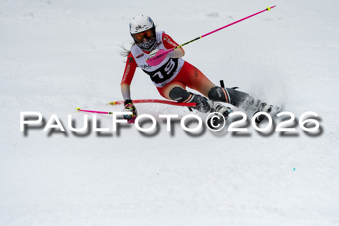 FIS Slalom + NJC Damen + FIS Herren 13.02.2026