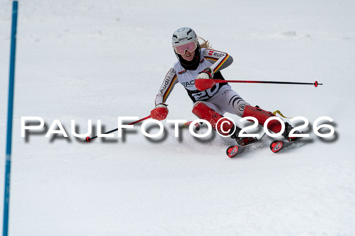 FIS Slalom + NJC Damen + FIS Herren 13.02.2026