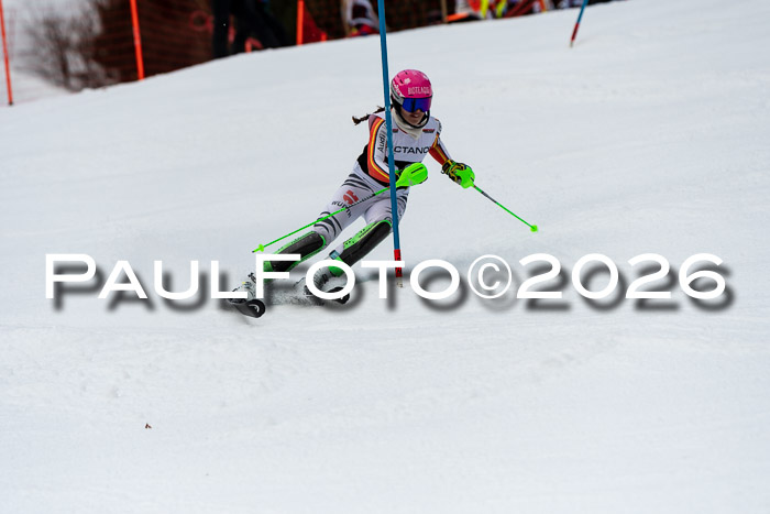 FIS Slalom + NJC Damen + FIS Herren 13.02.2026