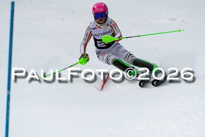 FIS Slalom + NJC Damen + FIS Herren 13.02.2026