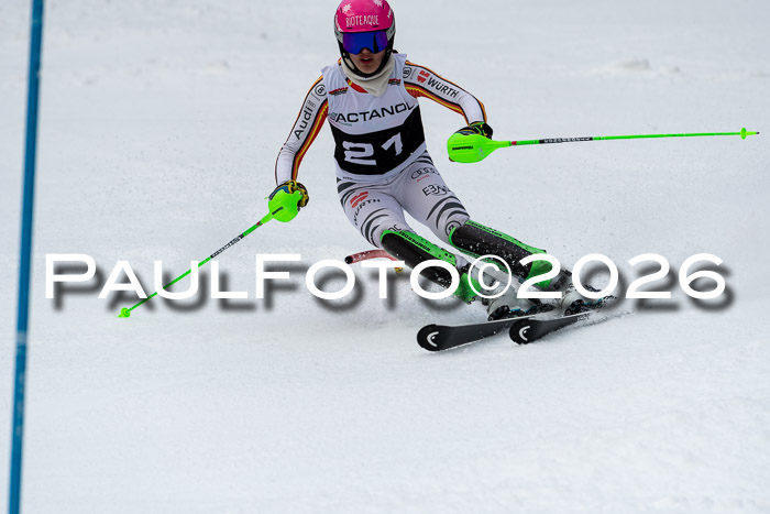 FIS Slalom + NJC Damen + FIS Herren 13.02.2026