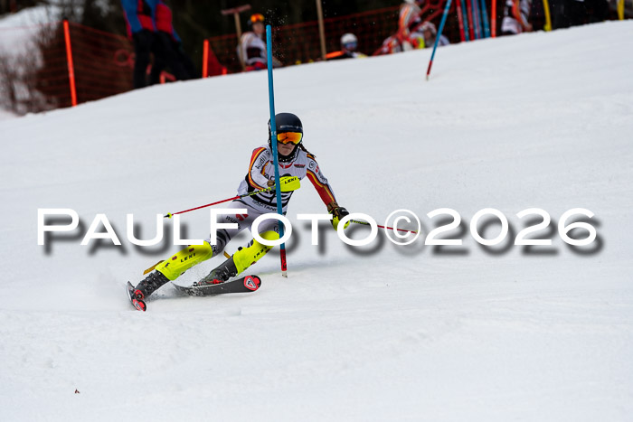 FIS Slalom + NJC Damen + FIS Herren 13.02.2026
