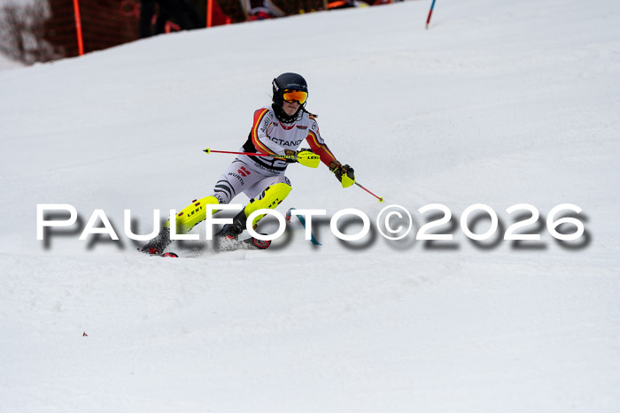 FIS Slalom + NJC Damen + FIS Herren 13.02.2026