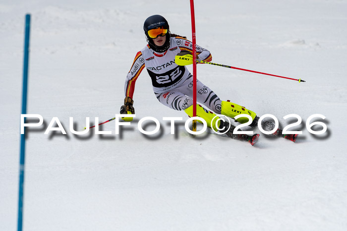 FIS Slalom + NJC Damen + FIS Herren 13.02.2026