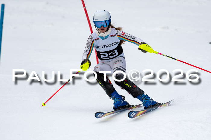 FIS Slalom + NJC Damen + FIS Herren 13.02.2026