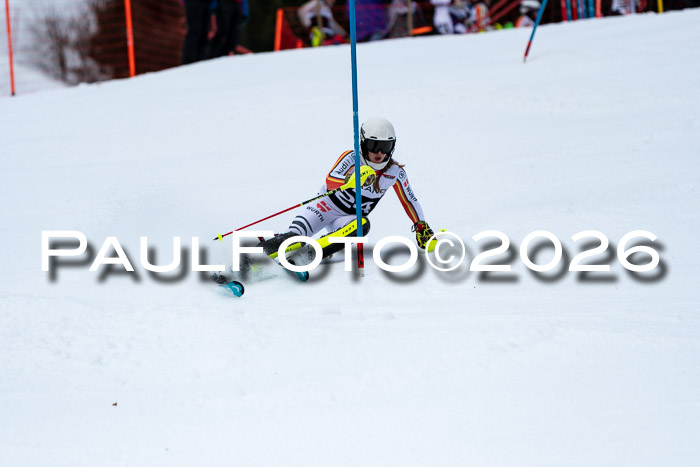 FIS Slalom + NJC Damen + FIS Herren 13.02.2026